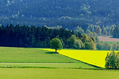 Landschaft-Natur