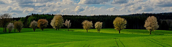 Landschaft-Natur